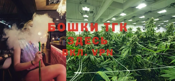 трава Саяногорск