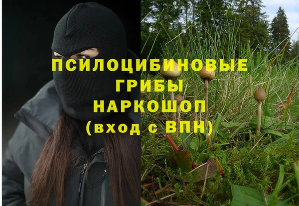 трава Саяногорск